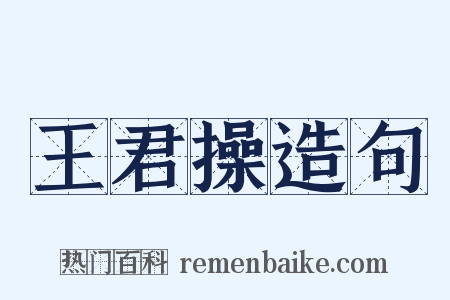 王君操造句是什么意思的图片